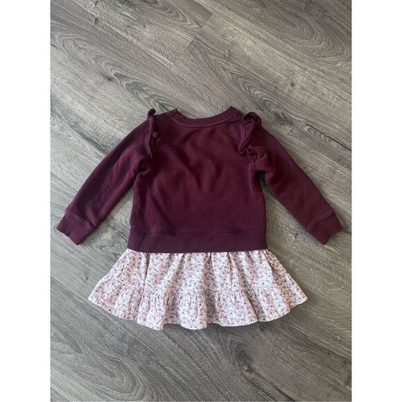 Polo Ralph Lauren Floral Fleece Sweatshirt Dress size 4 T - Picture 5 of 6